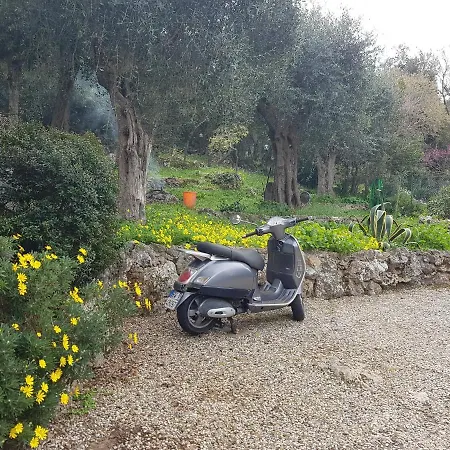 La Casa Di Cosa-2